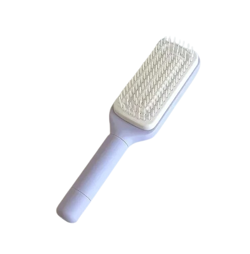 4 In 1 Self Cleaning Brush